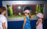 Dzieci lubią obserwować ryby  - Archiwum MW